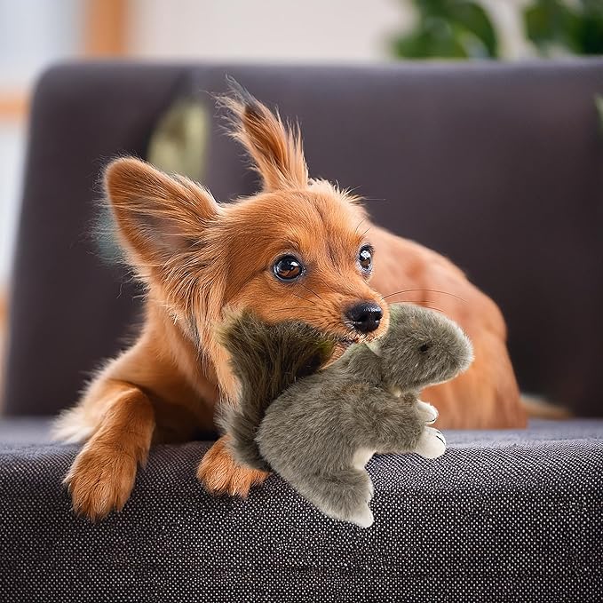 Squirrel Dog Toy w/ Squeaker | Plush Squirrels Dogs Toys | Stuffed Squeaky Squirrel Toy for Pets | Realistic Animal Dogs Toys | Squeaky Squirrels | Small/Medium Breed | Multicolor | 6"