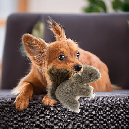 Squirrel Dog Toy w/ Squeaker | Plush Squirrels Dogs Toys | Stuffed Squeaky Squirrel Toy for Pets | Realistic Animal Dogs Toys | Squeaky Squirrels | Small/Medium Breed | Multicolor | 6"