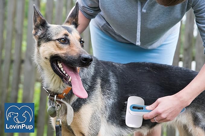 Pet Slicker Brush - Self Cleaning Brush for Dogs & Cats w/Retractable Bristles for All Hair Types - Massaging Pins Remove Tangles & Mats Painlessly - Durable Grooming Tool for Dogs & Cats