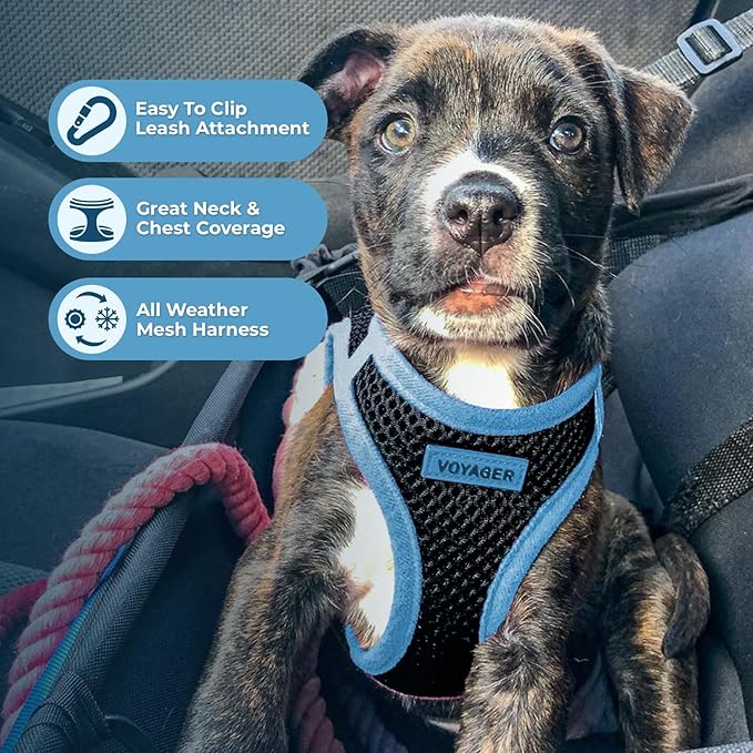Best Pet Supplies - All Weather Mesh/Plush, Reflective, No Pull Harness for Small, Medium Dogs, Cats - Secure with Hook & Loop Fastener, Buckle, Double D-Rings - Black/Blue Trim, XL
