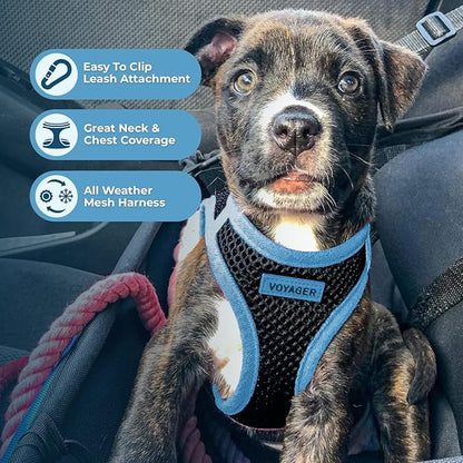 Best Pet Supplies - All Weather Mesh/Plush, Reflective, No Pull Harness for Small, Medium Dogs, Cats - Secure with Hook & Loop Fastener, Buckle, Double D-Rings - Black/Blue Trim, XL