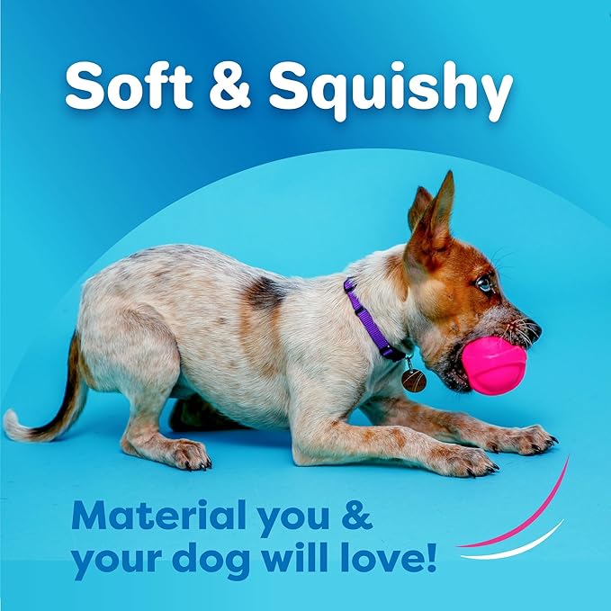 Hartz DuraPlay Ball Squeaky Latex Dog Toy, Neon Green, Neon Pink & Neon Orange, Large 3 Count Pack