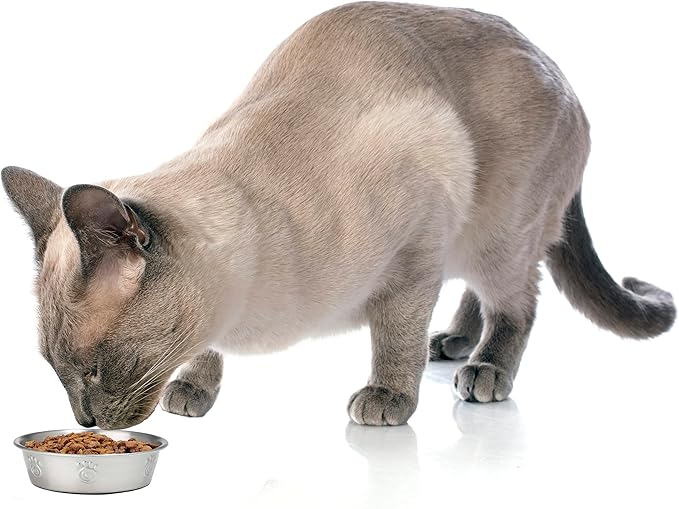 PetRageous 60046 Cayman Classic Non-Skid Stainless-Steel Dishwasher Safe Bowl 1-Cup Capacity 4.5-Inch Diameter 1.5-Inch Tall for Small Dogs and Cats of Any Size, Metallic