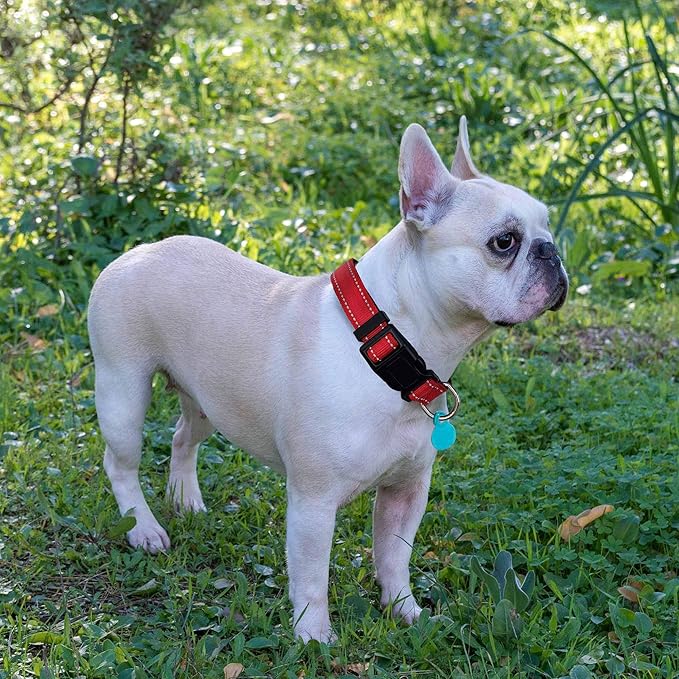 Reflective Dog Collar Padded with Soft Neoprene Breathable Adjustable Nylon Dog Collars for Small Medium Large Dogs (X-Small (Pack of 1), Red Collar+Leash)