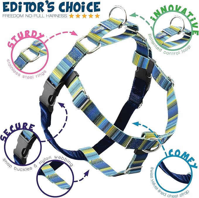 2 Hounds Design - Freedom No-Pull Harness & Training Leash in Blue and Green | Dual Leash Loops, No Pulling on Walks | Lined to Prevent Chaffing | for Large Sized Dogs (Size L, Chest 28”- 32”)
