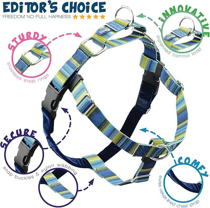 2 Hounds Design - Freedom No-Pull Harness & Training Leash in Blue and Green | Dual Leash Loops, No Pulling on Walks | Lined to Prevent Chaffing | for Small Sized Dogs (Size S, Chest 20”- 24”)