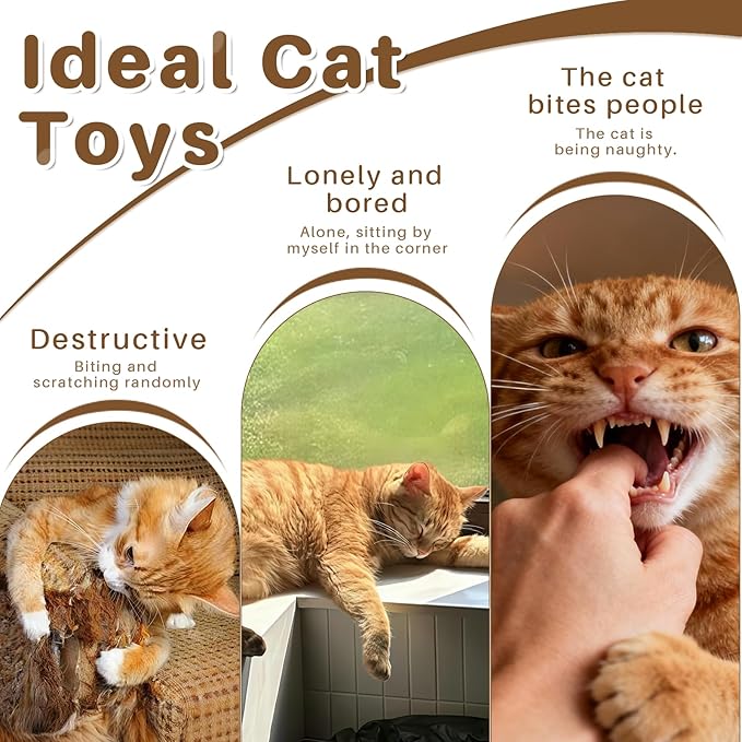 Walfront Interactive Cat Toy, Butterfly Teaser Wand, Retractable 3-Section Wand with 3 Replacement Butterfly Attachments, Indoor Play for Kittens & Adult Cats, Keeps Cats Active & Happy