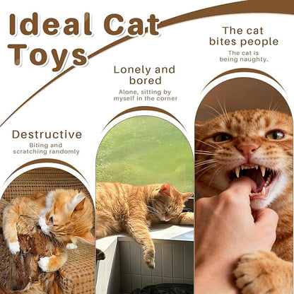 Walfront Interactive Cat Toy, Butterfly Teaser Wand, Retractable 3-Section Wand with 3 Replacement Butterfly Attachments, Indoor Play for Kittens & Adult Cats, Keeps Cats Active & Happy