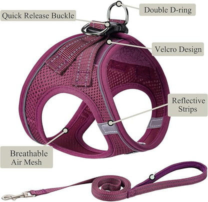 Dog Harness with Leash Set, No Pull Adjustable Reflective Step-in Puppy Pet Vest Harnesses for Small Medium Large Dogs and Cats,Cranberry XL