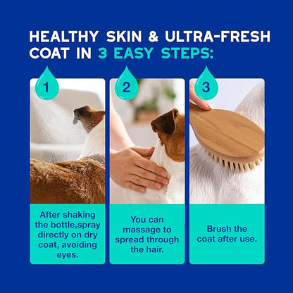 DOUXO® Skin & Coat SPA - Multi-Action Odor Control Spray for Dogs, 11.5 fl oz, Deodorizes, Neutralizes Unpleasant Odors, Leaves The Coat Fresh, Smelling Great, Skin-Friendly Ultra-Freshening Formula