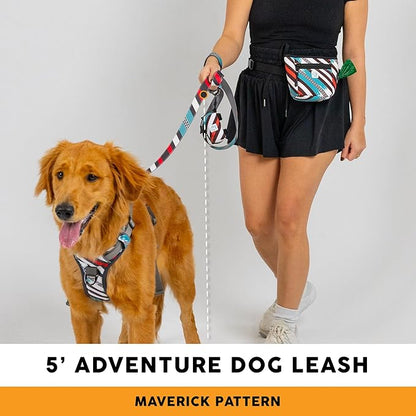 Embark Adventure Dog Leash – Strong & Sturdy for Small, Medium & Large Dogs (Maverick, 5 Ft)