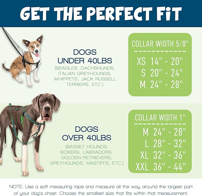 2 Hounds Design Freedom No Pull Dog Harness, Adjustable Harness and Leash Set, Easy Walking & Comfortable Control, Fits Small, Medium & Large Dogs, Solid Colors, Made in USA, 1" MD, Rose