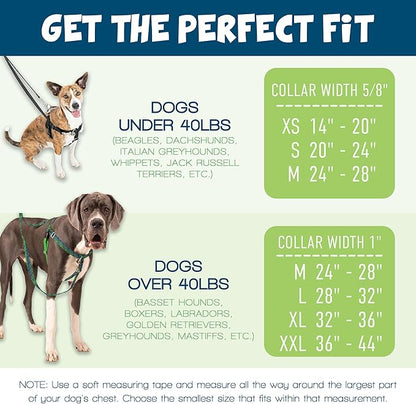 2 Hounds Design Freedom No Pull Dog Harness, Adjustable Harness and Leash Set, Easy Walking & Comfortable Control, Fits Small, Medium & Large Dogs, Solid Colors, Made in USA, 1" MD, Rose