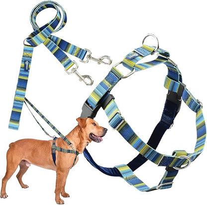 2 Hounds Design - Freedom No-Pull Harness & Training Leash in Blue and Green | Dual Leash Loops, No Pulling on Walks | Lined to Prevent Chaffing | for Large Sized Dogs (Size L, Chest 28”- 32”)