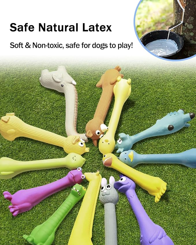 SCHITEC Squeaky Dog Toys, [2 Pack] Squawking Latex Toy with Interactive Squeaker, Squeak Rubber Duck Chicken for Medium Small Dogs