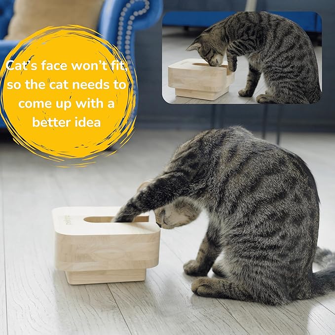 3 in 1 Cat Feeder Bowl, Interactive Cat Slow Feeder, Unique Wooden Non-Slip Pet Food and Water Bowl Dishes