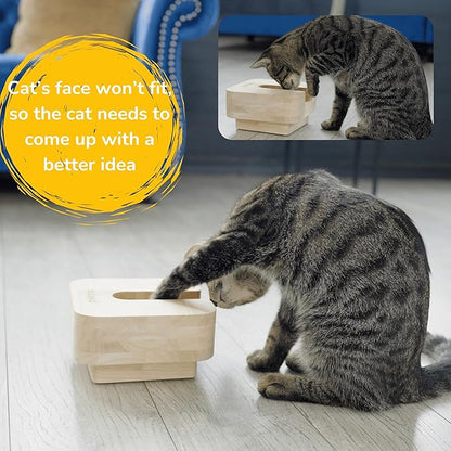 3 in 1 Cat Feeder Bowl, Interactive Cat Slow Feeder, Unique Wooden Non-Slip Pet Food and Water Bowl Dishes
