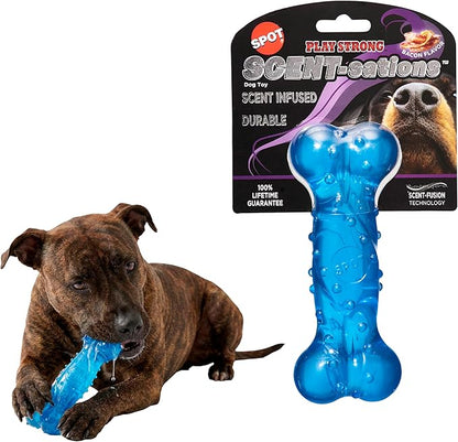 SPOT Play Strong Scent-sations Bone - Scent-Infused, Strong, Durable TPR Rubber, Heavy Duty Dog Toys for Aggressive Chewers up to 45lbs, Perfect for Puppies & Medium Breeds, 6in, Bacon Flavored