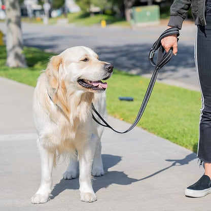 Shed Defender 5 ft. Standard Dog Leash - Three Padded Traffic Handles, Designed in the USA, Dual Layered Thickness Heavy Duty, Reflective Stitching, Large Dogs & Small Breed, Training Lead (Black)