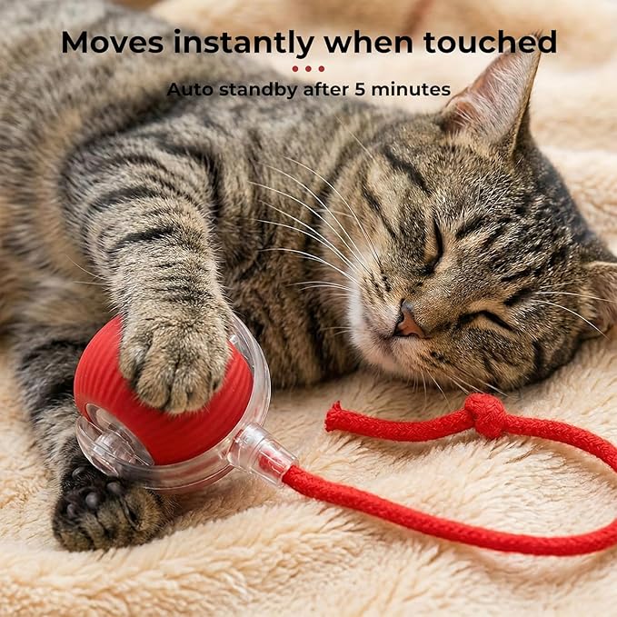 Interactive electric automatic 360 rolling USB rechargeable motion-sensing toy smart chasing cat ball, equipped with a quick tail rope, specially designed for active adult cats and indoor dogs.