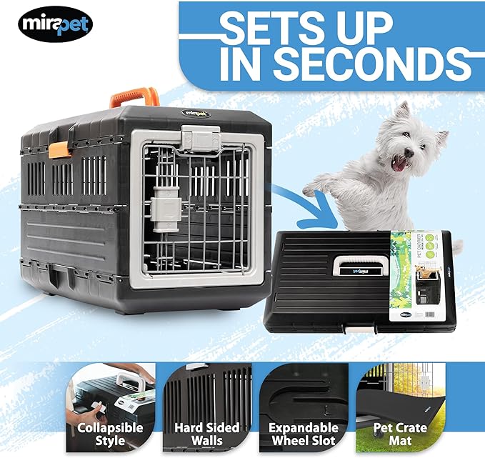 Pet Carrier & Crate, 21.5"L x 12"W x 14"H - Collapsible for Small Cats and Dogs, Portable Hard Plastic Wall Kennel for Indoor/Outdoor Use