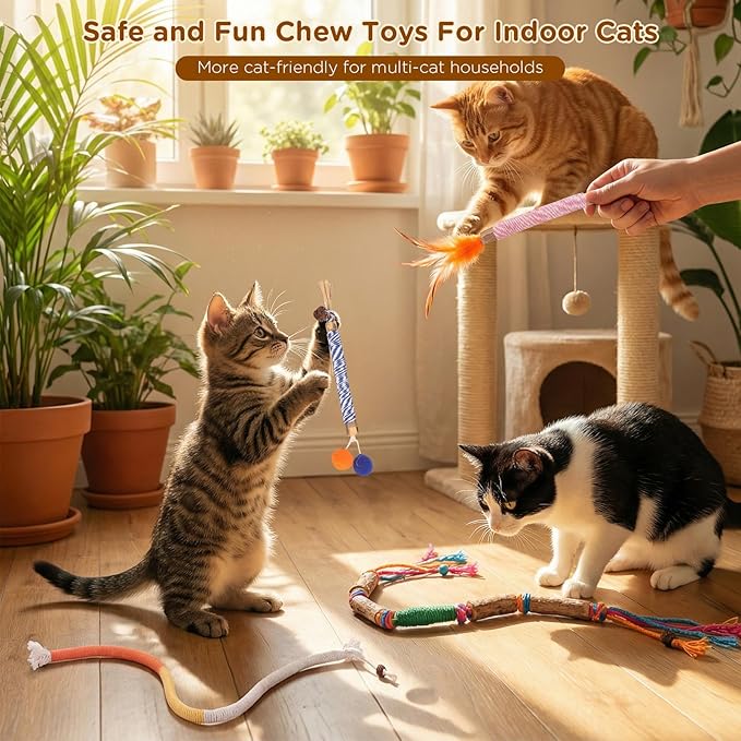 Catnip Toys for Indoor Cats - Silvervine Sticks & Cat Chew Toys for Teeth Cleaning - Refillable Natural Catnip & Silvervine Kit for Kittens & Adult Cats - 8 Pack