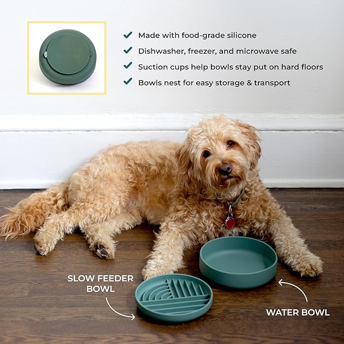 Slow-Feeder & Water Bowl Set by The Dog Tale | Food-Grade Silicone Dog Bowls, BPA-Free, Dishwasher Safe, Freezer Safe (Forest)