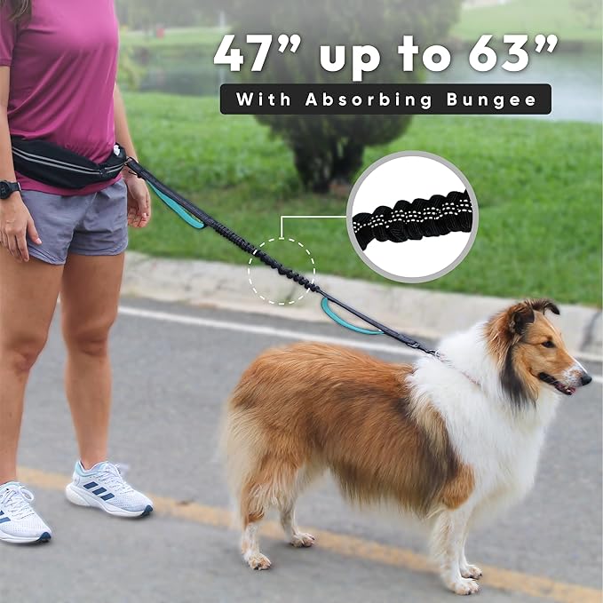 Bond - Blue Dog Running Leash Hands Free with Pouch, Hands Free Leash for Large Dogs, Pet Lead Running Belt for Walking & Canicross Belt, Includes Waist Jogging Fanny Pack & Pet Car Seat Belt Safety