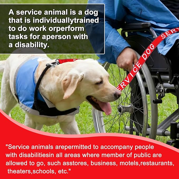 YeeBeny Service Dog Leash, Emotional Support Leash with Neoprene Handle and Reflective Lettering, Service Dog Stuff for Vest for Harnesses, Vests or Collars (Blue, 0.94width)