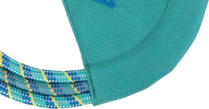 Ruffwear, Pacific Ring Dog Toy, Interactive Fetch and Tug Toy for Playing and Training, Aurora Teal