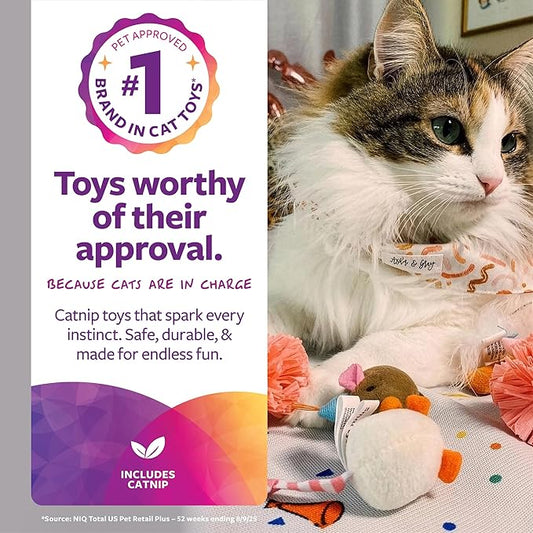 SmartyKat (16 Set Bundle) Birthday Bash Variety Pack Catnip Cat Toys - Multi Color, Set of 16
