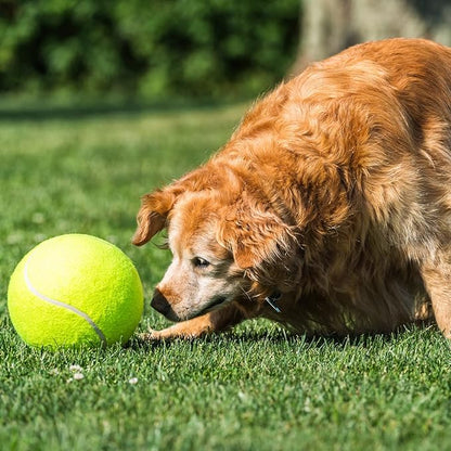 2 Pack Big Tennis Ball for Dogs - 9.5" and 8" Inflatable Giant Tennis Balls Large Pet Toys Ball Funny Outdoor Sports