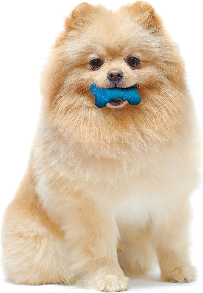 Nylabone Moderate Chew Flexi Chew Bone Peanut Butter & Bacon XX-Small/Tiny (2 Count)