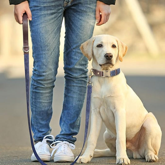 Didog PU Leather Dog Leash for Small Dogs 4.5ft, Soft Padded Handle Dog Leashes for Medium Size, Walking and Training Leashes Faux Leather for Large Pet,Blue