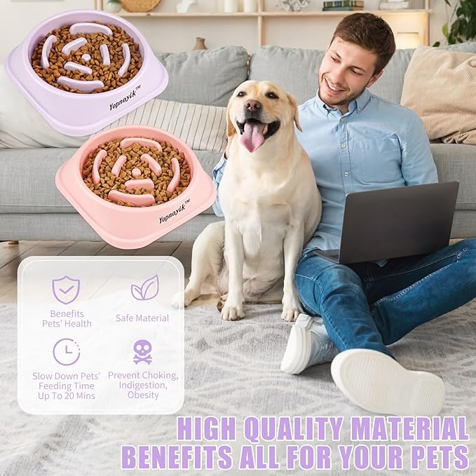 2 Pack Slow Feeder Dog Bowls for Healthy Eating, Non-Slip and Anti-Choking Design, Reduces Bloating & Overeating for Medium Dogs and Cats, Easy to Clean