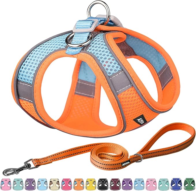 AIITLE Small Harness for Puppy with A Leash - Dog Vest Harness with Super Breathable Mesh, Reflective No-Pull Pet Harness for Outdoor Walking, Running for Small Dogs, Cats Orange XXS