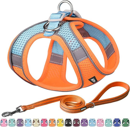 AIITLE Small Harness for Puppy with A Leash - Dog Vest Harness with Super Breathable Mesh, Reflective No-Pull Pet Harness for Outdoor Walking, Running for Small Dogs, Cats Orange XXS