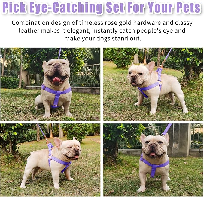 Soft Leather No Pull Dog Harness - Adjustable Step in Dog Harness with Rose Gold Heavy Duty Metal Buckle, Freedom Nylon Dog Halter Vests for Small Medium Large Dogs Easy Walking Training (Purple,S)