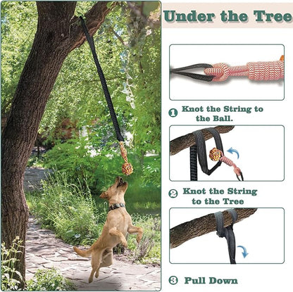 Dog Bungee Tug Toy for Large/Medium/Small Dogs, Dog tug of war Toy with Stake,Outdoor Interactive Toys Can Be Used on Lawns or Trees