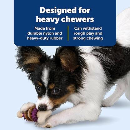 PetSafe Busy Buddy Bristle Bone - Chew Toy for Dogs - Boredom Relief & Dental Care - Durable Nylon Build with Rubber Nubs - Includes Treat Ring Refills - Dishwasher Safe Design