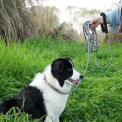 NTR Long Dog Leash, 20FT Check Cord with Swivel Lockable Hook and Comfortable Padded Handle for Reflective Dog Leash for Small Medium and Large Dogs Walking Training Hiking Camping Playing Grey