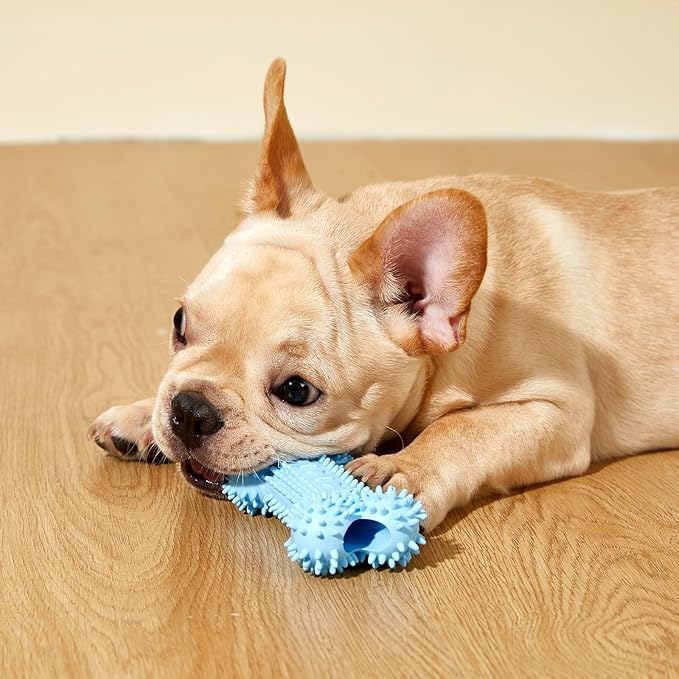 6 Pack Dog Chew Toys for Puppy Cute Blue Small Dog Toys Puppy Dog Toys for Teething Soft Durable Interactive Chew Toy for Small Dogs Light Blue