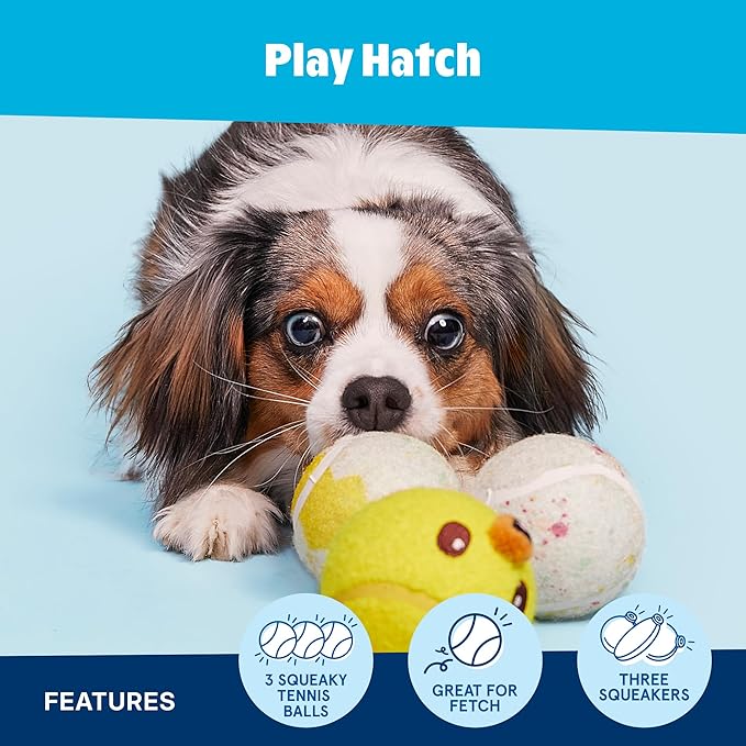 Barkbox Play Hatch Rubber Tennis Balls for Dogs & Puppies | Trio of Squeaky Fetch Balls for Bounce, Chase & Play | Durable, Engaging & Fun for Playful Pups