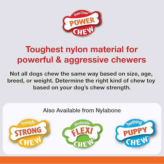 Nylabone Marrow Bone Alternative Power Chew Toy for Dogs, Dog Toys for Aggressive Chewers, Beef Flavor, Large - Up to 50 lbs, 1 Count