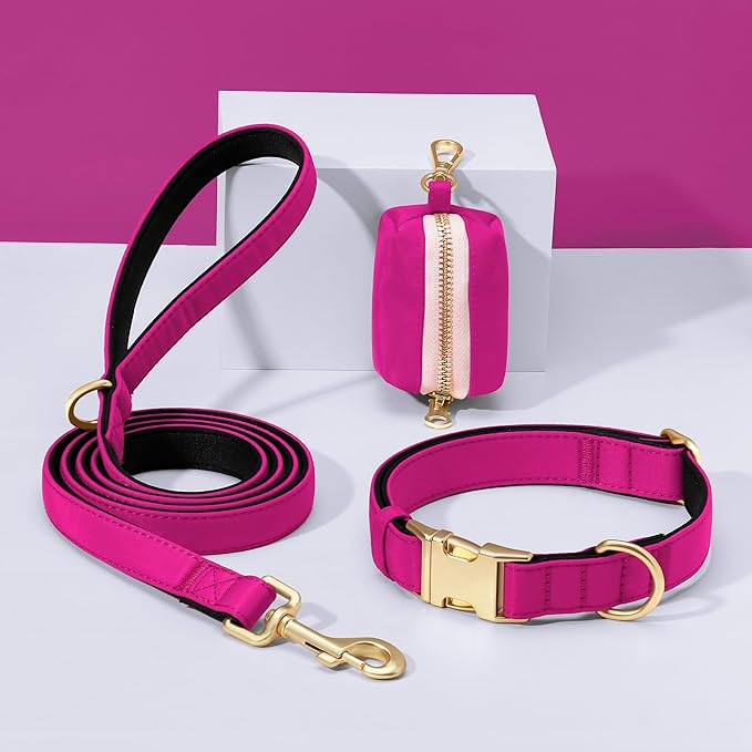 Didog 5FT Colorful Nylon Dog Leash with Soft Full-Length Padding, Lightweight and Durable Pet Leash for Medium and Large Dogs, Rose Purple, M