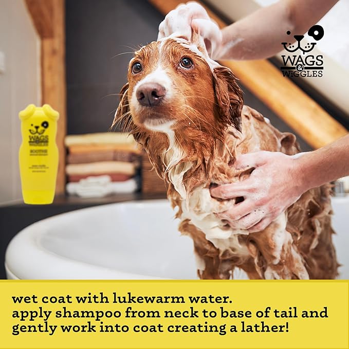 Wags & Wiggles Soothe Oatmeal Dog Shampoo - Warm Vanilla Scent, pH-Balanced Colloidal Oatmeal Formula for Dogs with Dry, Itchy, or Sensitive Skin, SLS and Paraben Free, 16 Fl Oz