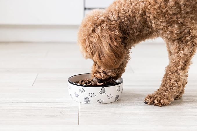 Pearhead Ceramic Dog Faces Dog Bowl, Stoneware Food and Water Dish for Dogs, Heavy Non-Slip Base, Small/Medium 2.25 Cups/ 18 oz