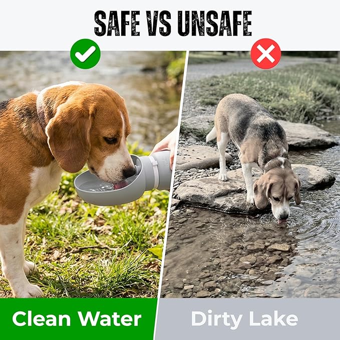 BICYSTAR Collapsible Water Bottle for Dogs, Foldable Leak-Resistant w/Drain-Back, Pet Travel Bowl, 19oz for Walks, Hiking & Road Trips