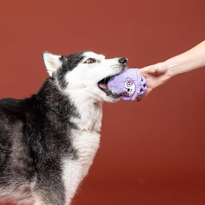 Fringe Studio Rubber Dog Toy, NOT Fast NOT Furious, Pet Shop Collection (519053)