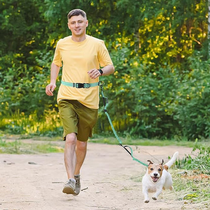 Mile High Life Hands Free Leash, Waist Leash for Dog Running Training and Jogging, Adjustable Belt with Double Padded Handle, Reflective Bungee for Medium Large Dogs (Teal, 7FT)